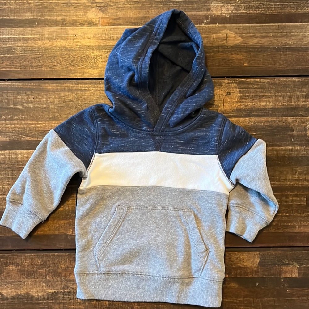 12mo Hoodie